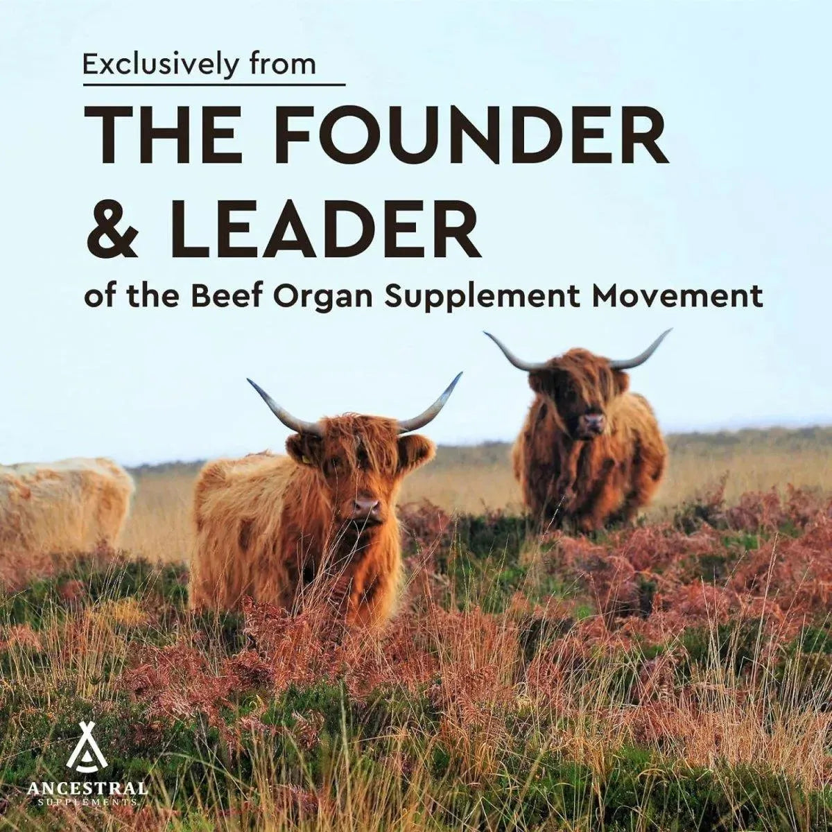 ANCESTRAL SUPPLEMENTS - Ancestral Supplements Grass Fed Beef Heart 180 Capsulas - The Red Vitamin MX - Suplementos Alimenticios - {{ shop.shopifyCountryName }}