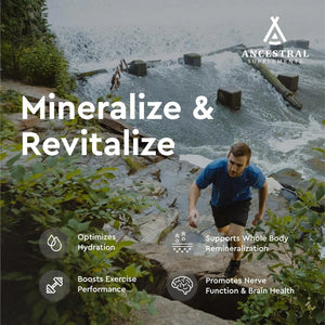 ANCESTRAL SUPPLEMENTS - Ancestral Supplements Minerals & Electrolytes 180 Capsulas - The Red Vitamin MX - Suplementos Alimenticios - {{ shop.shopifyCountryName }}