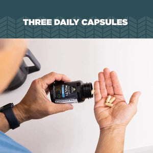 ANCIENT NUTRITION - Ancient Nutrition Multi Men's 40+ 90 Capsulas - The Red Vitamin MX - Suplementos Alimenticios - {{ shop.shopifyCountryName }}