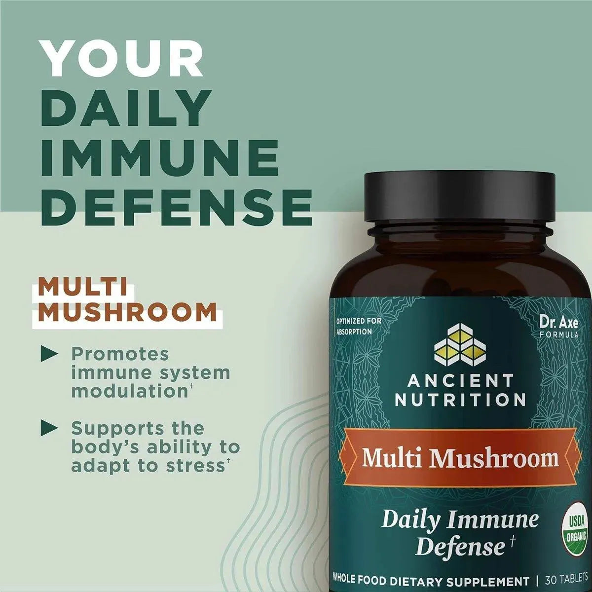 ANCIENT NUTRITION - Ancient Nutrition Multi Mushroom 30 Tabletas - The Red Vitamin MX - Suplementos Alimenticios - {{ shop.shopifyCountryName }}