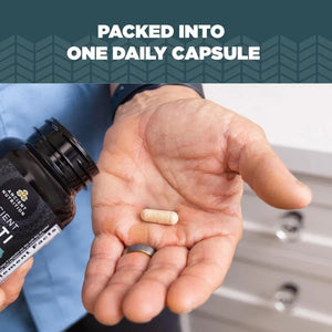 ANCIENT NUTRITION - Ancient Nutrition Multivitamin for Men 30 Capsulas - The Red Vitamin MX - Suplementos Alimenticios - {{ shop.shopifyCountryName }}