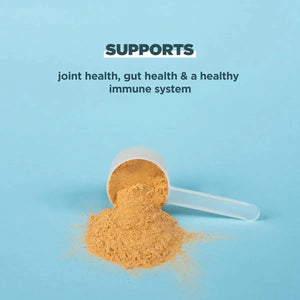 ANCIENT NUTRITION - Ancient Nutrition Protein Powder Made from Real Bone Broth Chocolate 2.2Lb. - The Red Vitamin MX - Suplementos Alimenticios - {{ shop.shopifyCountryName }}