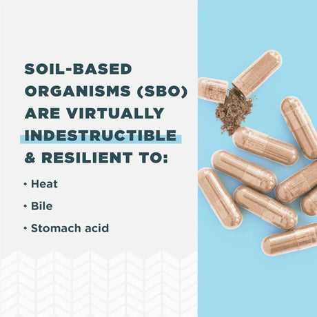 ANCIENT NUTRITION - Ancient Nutrition SBO Probiotics for Immune Support 30 Capsulas - The Red Vitamin MX - Suplementos Alimenticios - {{ shop.shopifyCountryName }}