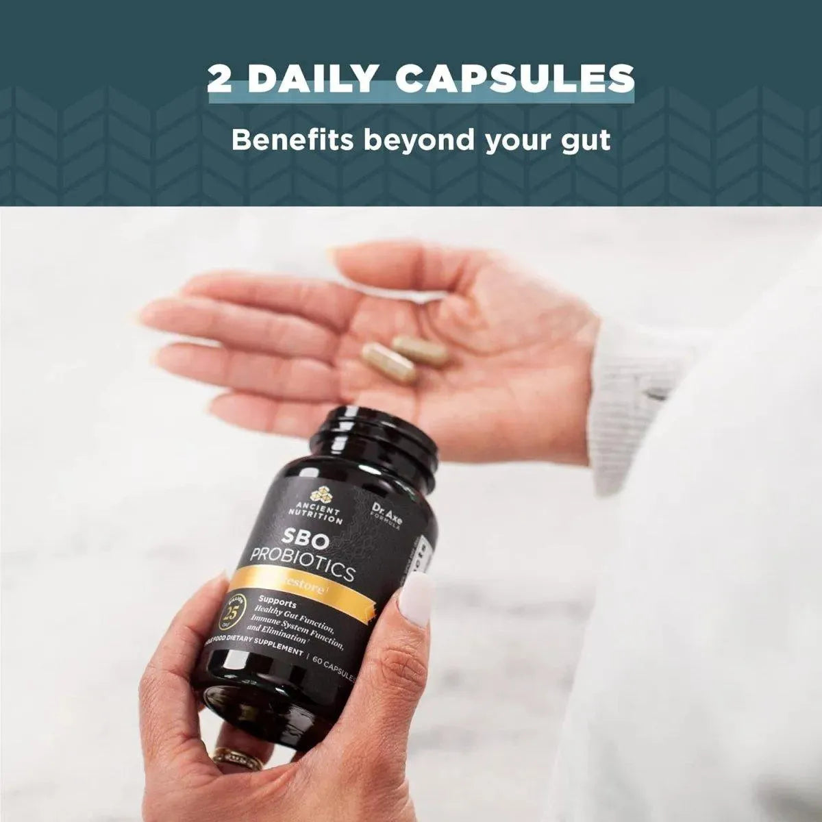 ANCIENT NUTRITION - Ancient Nutrition SBO Probiotics Gut Restore 60 Capsulas - The Red Vitamin MX - Suplementos Alimenticios - {{ shop.shopifyCountryName }}