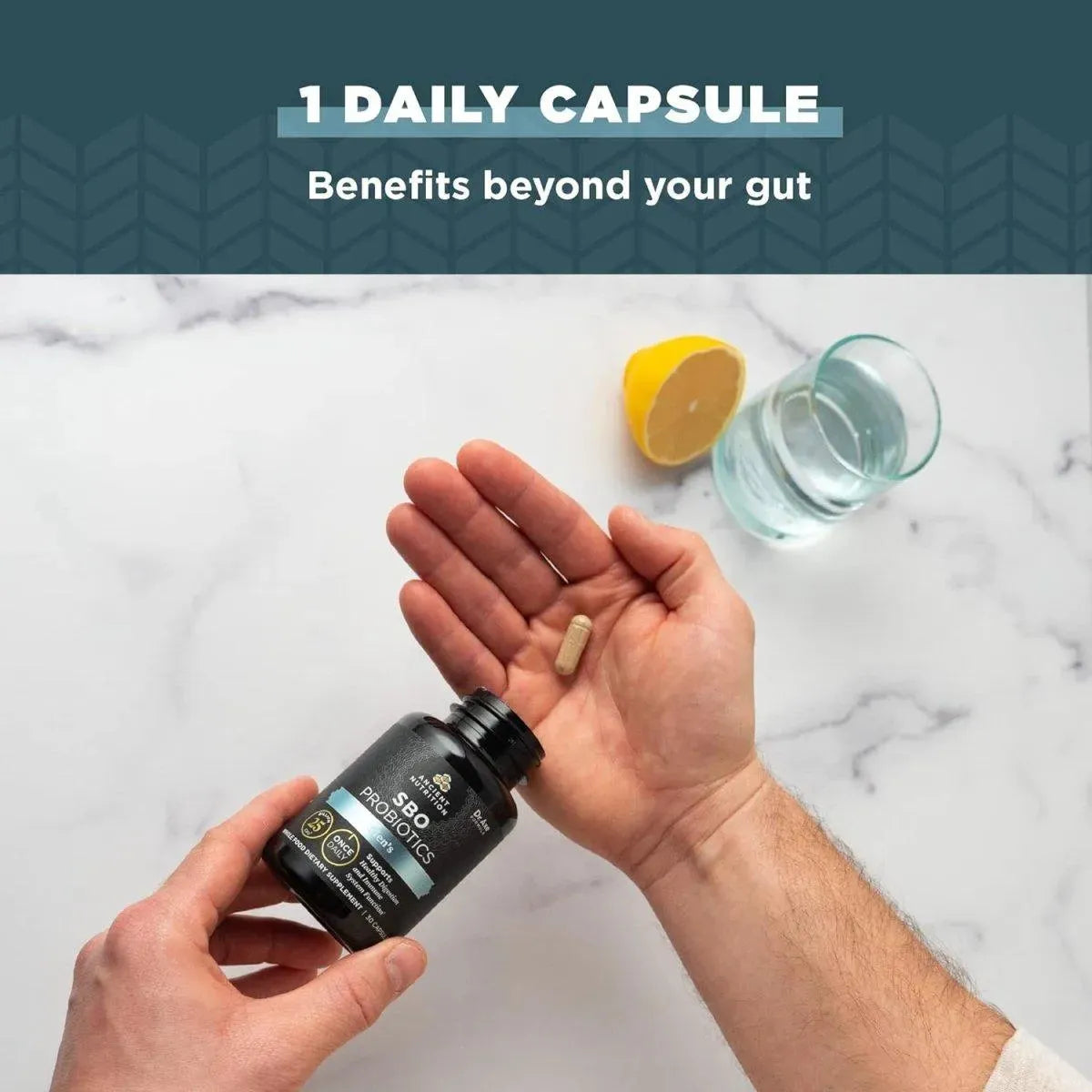 ANCIENT NUTRITION - Ancient Nutrition SBO Probiotics Men's Once Daily 30 Capsulas - The Red Vitamin MX - Suplementos Alimenticios - {{ shop.shopifyCountryName }}