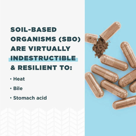 ANCIENT NUTRITION - Ancient Nutrition SBO Probiotics Women's 60 Capsulas - The Red Vitamin MX - Suplementos Alimenticios - {{ shop.shopifyCountryName }}