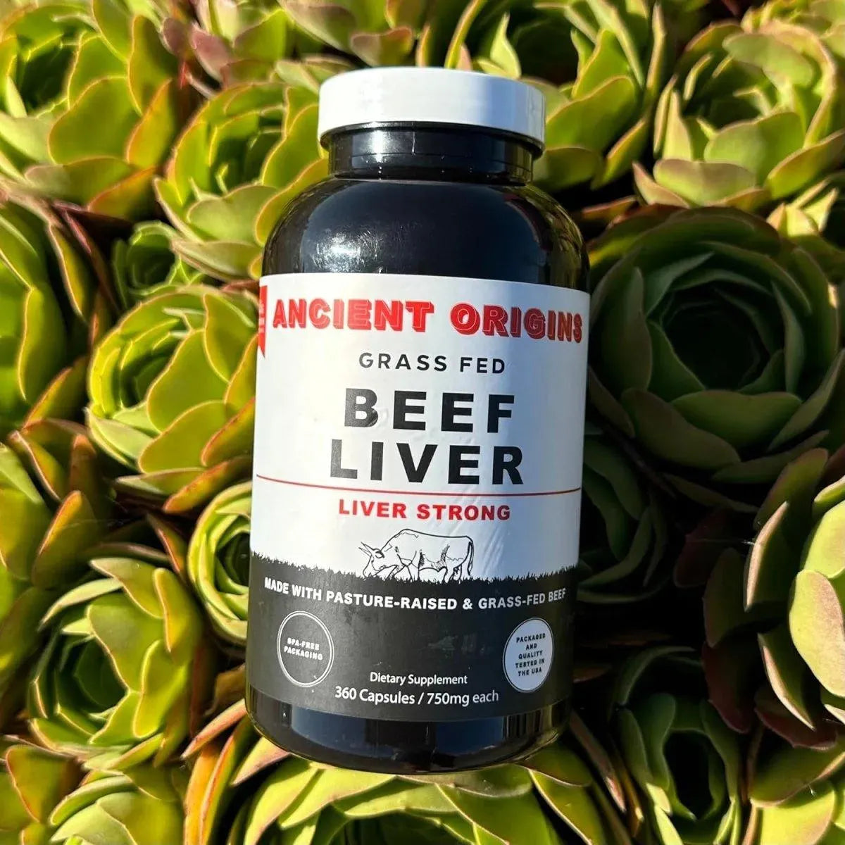 ANCIENT ORIGINS - Ancient Origins Grass Fed Beef Liver 750Mg. 360 Capsulas - The Red Vitamin MX - Suplementos Alimenticios - {{ shop.shopifyCountryName }}