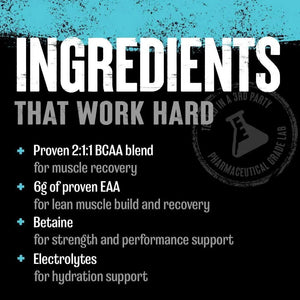 ANIMAL - Animal Juiced Amino Acids BCAA/EAA Matrix Plus Hydration Strawberry Limeade 378Gr. - The Red Vitamin MX - Suplementos Alimenticios - {{ shop.shopifyCountryName }}