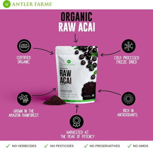 ANTLER FARMS - Antler Farms 100% Pure Organic Raw Acai Powder 150Gr. - The Red Vitamin MX - Suplementos Alimenticios - {{ shop.shopifyCountryName }}