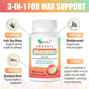 ASCUOLI - Ascuoli Organic Sea Moss 2250Mg. 90 Capsulas - The Red Vitamin MX - Suplementos Alimenticios - {{ shop.shopifyCountryName }}