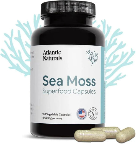 ATLANTIC NATURALS - Atlantic Naturals Organic Sea Moss 120 Capsulas - The Red Vitamin MX - Suplementos Alimenticios - {{ shop.shopifyCountryName }}