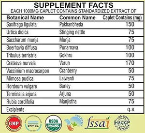 AYURVEDASHREE - AYURVEDASHREE Kidney Support Herbal Supplement 60 Tabletas - The Red Vitamin MX - Suplementos Alimenticios - {{ shop.shopifyCountryName }}