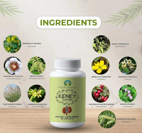 AYURVEDASHREE - AYURVEDASHREE Kidney Support Herbal Supplement 60 Tabletas - The Red Vitamin MX - Suplementos Alimenticios - {{ shop.shopifyCountryName }}