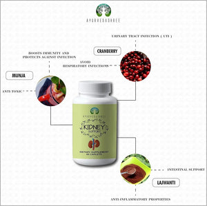 AYURVEDASHREE - AYURVEDASHREE Kidney Support Herbal Supplement 60 Tabletas - The Red Vitamin MX - Suplementos Alimenticios - {{ shop.shopifyCountryName }}