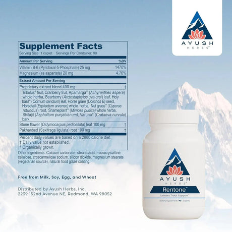 AYUSH - Ayush Herbs Rentone Ayurvedic Urinary Tract and Kidney-Support 90 Tabletas - The Red Vitamin MX - Suplementos Alimenticios - {{ shop.shopifyCountryName }}