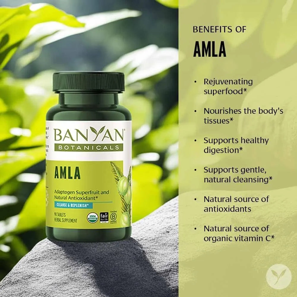 BANYAN - Banyan Botanicals Amla 90 Tabletas - The Red Vitamin MX - Suplementos Alimenticios - {{ shop.shopifyCountryName }}