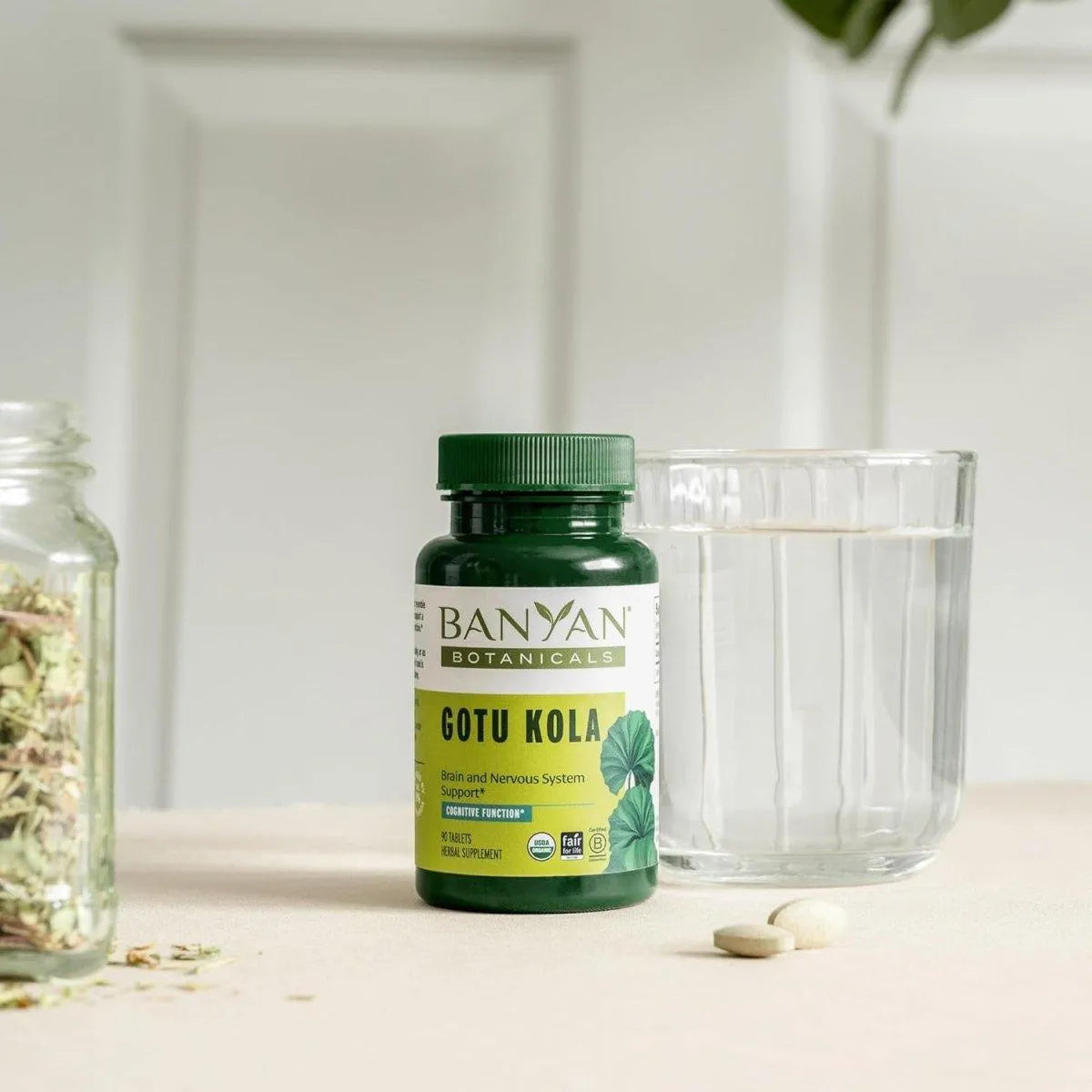 BANYAN - Banyan Botanicals Gotu Kola 90 Tabletas - The Red Vitamin MX - Suplementos Alimenticios - {{ shop.shopifyCountryName }}