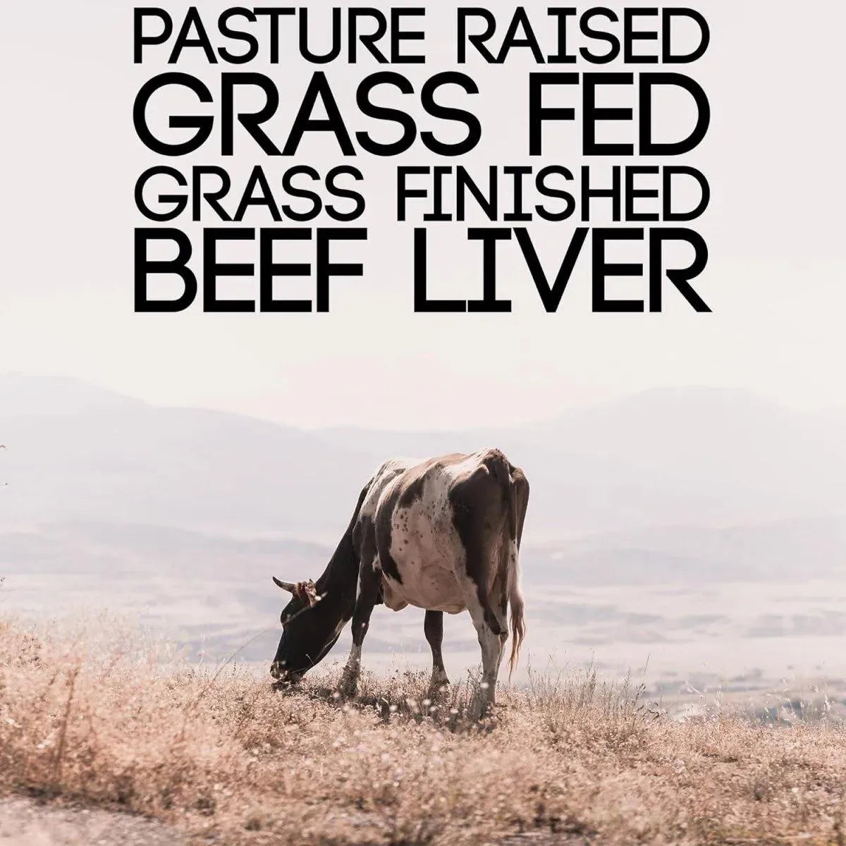 BASIC NUTRITION - Basic Nutrition Pasture Raised Grass Fed Grass Finished Beef Liver 3000Mg. 120 Capsulas 2 Pack - The Red Vitamin MX - Suplementos Alimenticios - {{ shop.shopifyCountryName }}