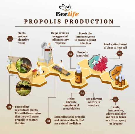 BEELIFE - Beelife Propoflex Green Propolis Extract 15% Extract 30Ml. - The Red Vitamin MX - Suplementos Alimenticios - {{ shop.shopifyCountryName }}