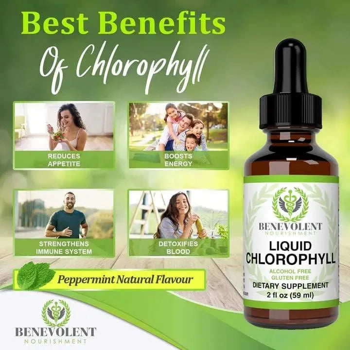 BENEVOLENT NOURISHMENT - Benevolent Chlorophyll Liquid Drops 59Ml. - The Red Vitamin MX - Suplementos Alimenticios - {{ shop.shopifyCountryName }}