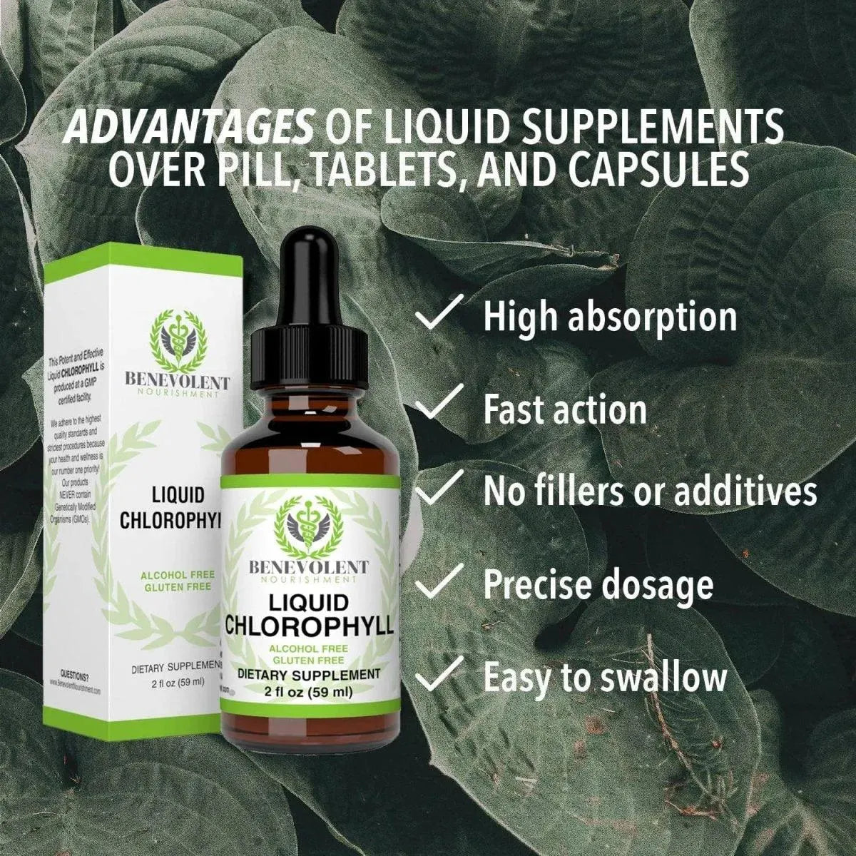 BENEVOLENT NOURISHMENT - Benevolent Chlorophyll Liquid Drops 59Ml. - The Red Vitamin MX - Suplementos Alimenticios - {{ shop.shopifyCountryName }}