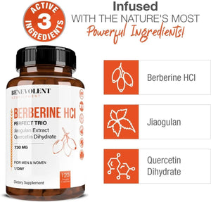 BENEVOLENT NOURISHMENT - Benevolent Nourishment Premium Berberine HCL 730Mg. 120 Capsulas - The Red Vitamin MX - Suplementos Alimenticios - {{ shop.shopifyCountryName }}