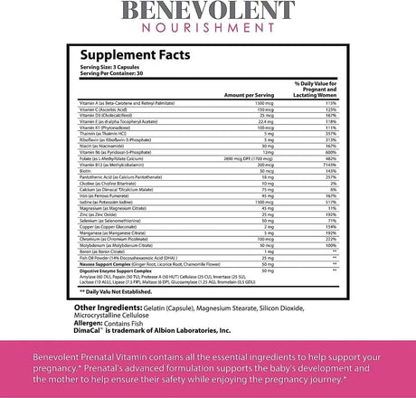 BENEVOLENT NOURISHMENT - Benevolent Nourishment Prenatal Vitamins with DHA and Folate 90 Capsulas - The Red Vitamin MX - Suplementos Alimenticios - {{ shop.shopifyCountryName }}