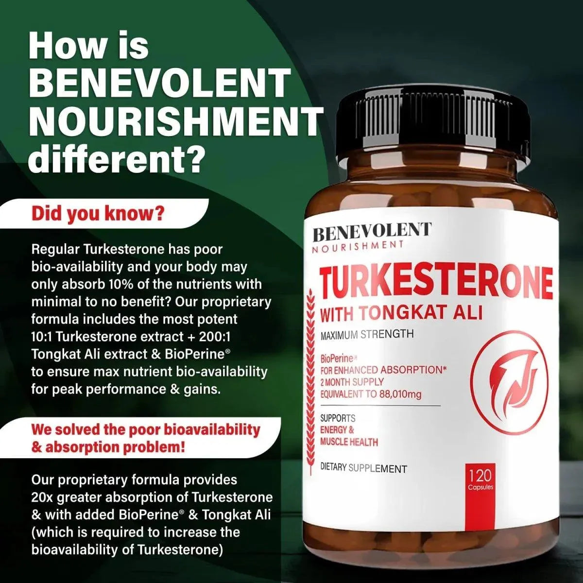 BENEVOLENT NOURISHMENT - Benevolent Nourishment Turkesterone 8,000Mg. Tongkat ali 80,000Mg. BioPerine 120 Capsulas - The Red Vitamin MX - Suplementos Alimenticios - {{ shop.shopifyCountryName }}