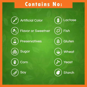 BEST NATURALS - Best Naturals Vitamin B6 25Mg. 120 Tabletas 2 Pack - The Red Vitamin MX - Suplementos Alimenticios - {{ shop.shopifyCountryName }}