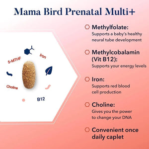 BEST NEST WELLNESS - Best Nest Wellness Mama Bird Prenatal Vitamins 30 Tabletas - The Red Vitamin MX - Suplementos Alimenticios - {{ shop.shopifyCountryName }}