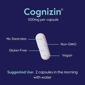 BESTVITE - BESTVITE Cognizin Citicoline 500Mg. 60 Capsulas - The Red Vitamin MX - Suplementos Alimenticios - {{ shop.shopifyCountryName }}