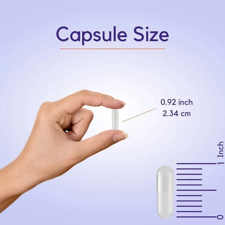 BESTVITE - BESTVITE L-Tryptophan 500Mg. 120 Capsulas 2 Pack - The Red Vitamin MX - Suplementos Alimenticios - {{ shop.shopifyCountryName }}