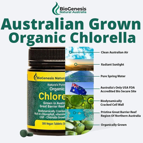 BIOGENESIS - Biogenesis Australia Chlorella Tablet 500Mg. 300 Tabletas - The Red Vitamin MX - Suplementos Alimenticios - {{ shop.shopifyCountryName }}