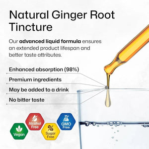 BIOKRAUTER - Bio Krauter Ginger Root Tincture 4 Fl.Oz. - The Red Vitamin MX - Suplementos Alimenticios - {{ shop.shopifyCountryName }}