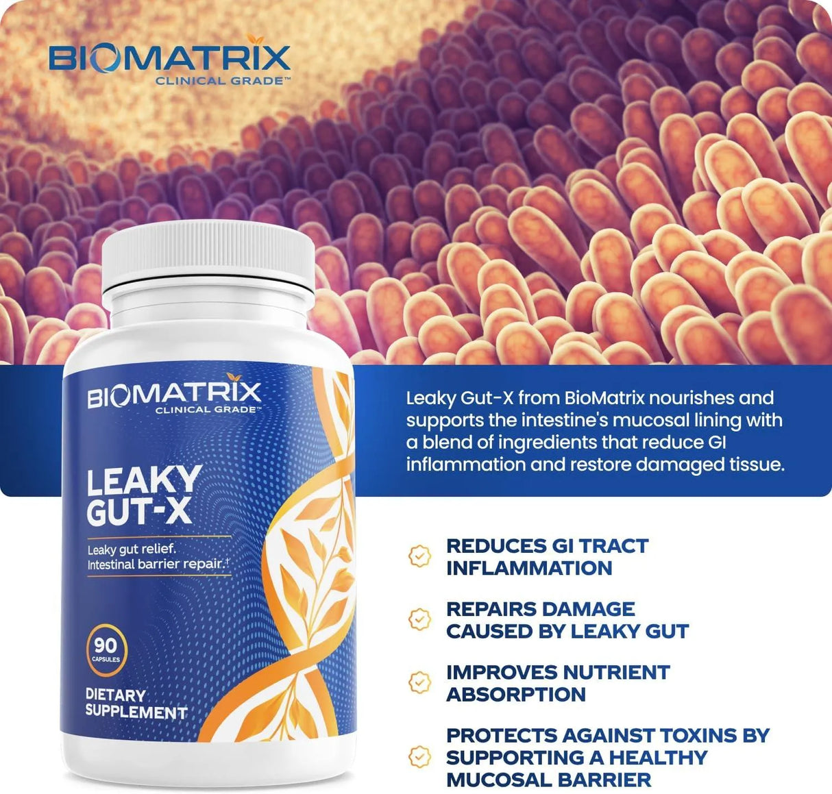 BIOMATRIX - BioMatrix Leaky Gut Repair 90 Capsulas - The Red Vitamin MX - Suplementos Alimenticios - {{ shop.shopifyCountryName }}