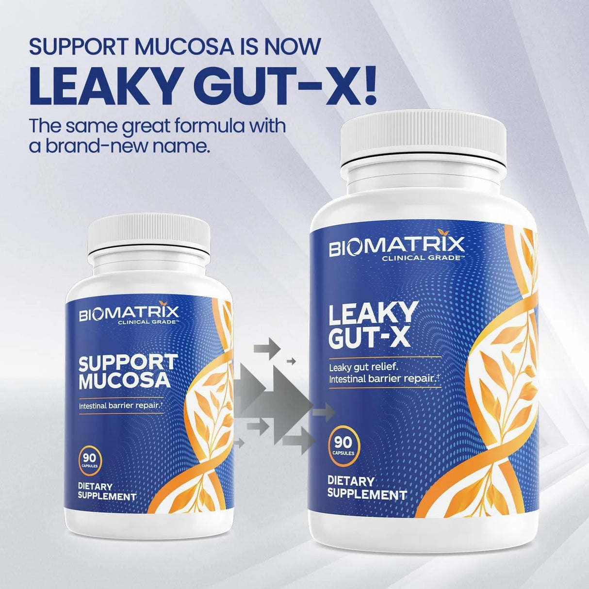 BIOMATRIX - BioMatrix Leaky Gut Repair 90 Capsulas - The Red Vitamin MX - Suplementos Alimenticios - {{ shop.shopifyCountryName }}