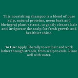 BIOTIQUE - Biotique Bio Kelp Protein Shampoo 180Ml. - The Red Vitamin MX - Shampoo Para Cabello - {{ shop.shopifyCountryName }}