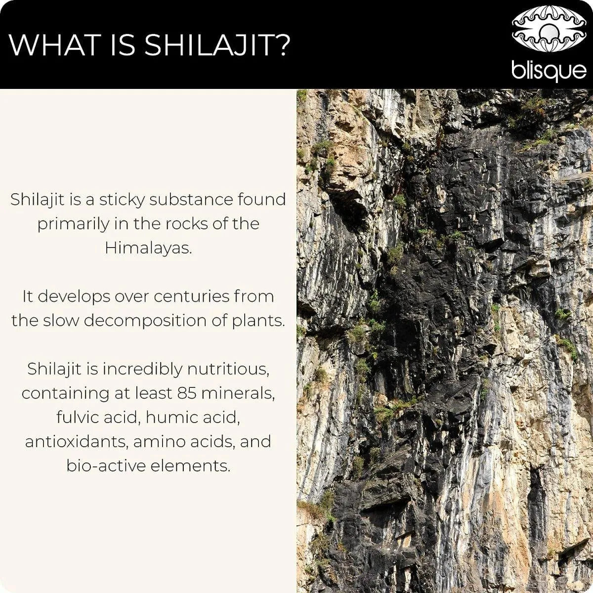 BLISQUE - Blisque Pure Himalayan Shilajit Resin Supplement 60Gr. - The Red Vitamin MX - Suplementos Alimenticios - {{ shop.shopifyCountryName }}