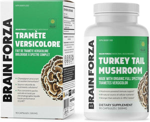 BRAIN FORZA - Brain Forza Organic Turkey Tail Mushroom 500Mg. 90 Capsulas - The Red Vitamin MX - Suplementos Alimenticios - {{ shop.shopifyCountryName }}