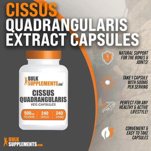 BULK SUPPLEMENTS - Bulk Supplements Cissus Quadrangularis Extract 500Mg. 240 Capsulas - The Red Vitamin MX - Suplementos Alimenticios - {{ shop.shopifyCountryName }}