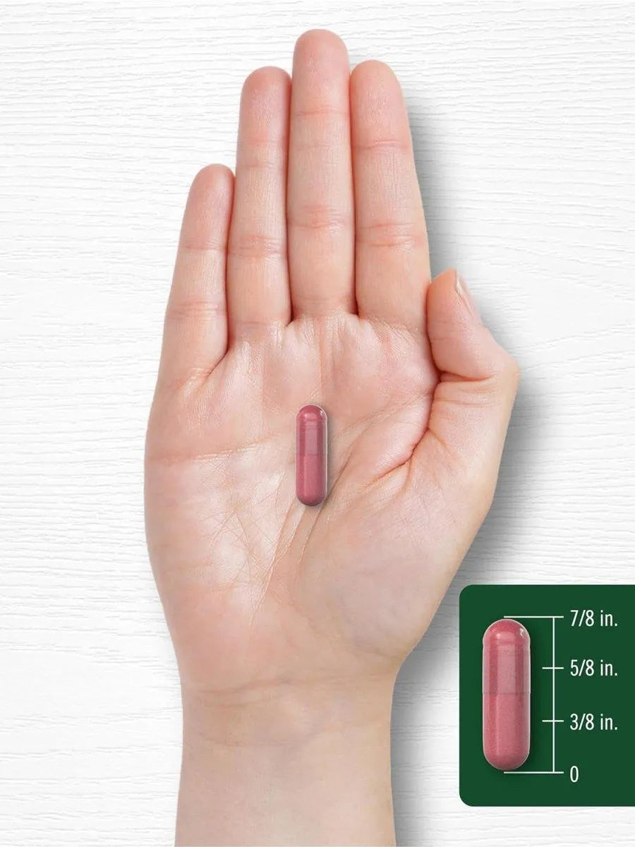 CARLYLE - Carlyle Beet Root 8000Mg. 120 Capsulas - The Red Vitamin MX - Suplementos Alimenticios - {{ shop.shopifyCountryName }}