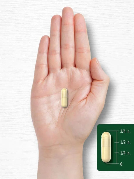 CARLYLE - Carlyle Bitter Melon 1200Mg. 180 Capsulas - The Red Vitamin MX - Suplementos Alimenticios - {{ shop.shopifyCountryName }}