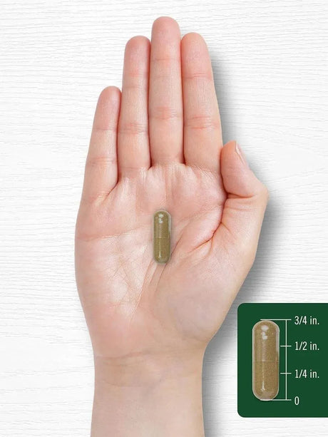 CARLYLE - Carlyle Dandelion Root 1800Mg. 300 Capsulas - The Red Vitamin MX - Suplementos Alimenticios - {{ shop.shopifyCountryName }}