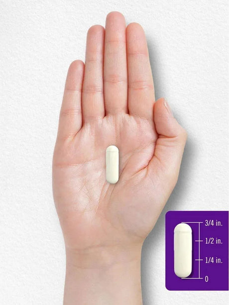 CARLYLE - Carlyle Probiotics with Prebiotics 120 Capsulas - The Red Vitamin MX - Suplementos Alimenticios - {{ shop.shopifyCountryName }}