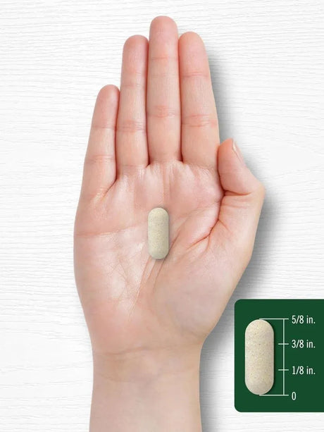 CARLYLE - Carlyle Vitamin C 1000Mg. 300 Tabletas - The Red Vitamin MX - Suplementos Alimenticios - {{ shop.shopifyCountryName }}