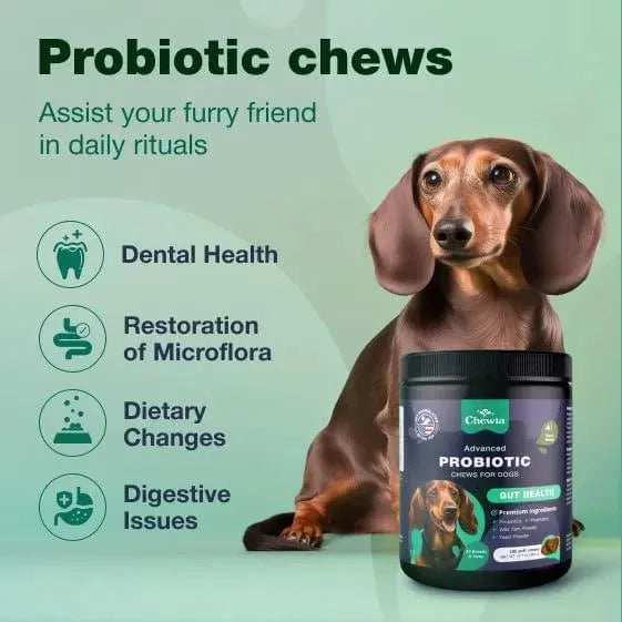 CHEWIA - Chewia Probiotics for Dogs 180 Masticables - The Red Vitamin MX - Probióticos Para Perros - {{ shop.shopifyCountryName }}