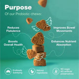 CHEWIA - Chewia Probiotics for Dogs 180 Masticables - The Red Vitamin MX - Probióticos Para Perros - {{ shop.shopifyCountryName }}