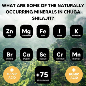 CHUGA SHILAJIT - Chuga Shilajit Pure Himalayan Shilajit Resin 15Gr. - The Red Vitamin MX - Suplementos Alimenticios - {{ shop.shopifyCountryName }}