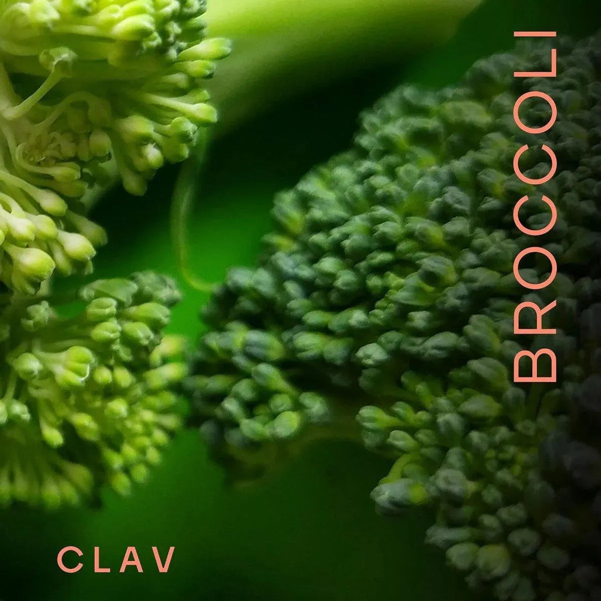 CLAV - CLAV Broccoli Sprout Extract Sulforaphane 60 Capsulas - The Red Vitamin MX - Suplementos Alimenticios - {{ shop.shopifyCountryName }}