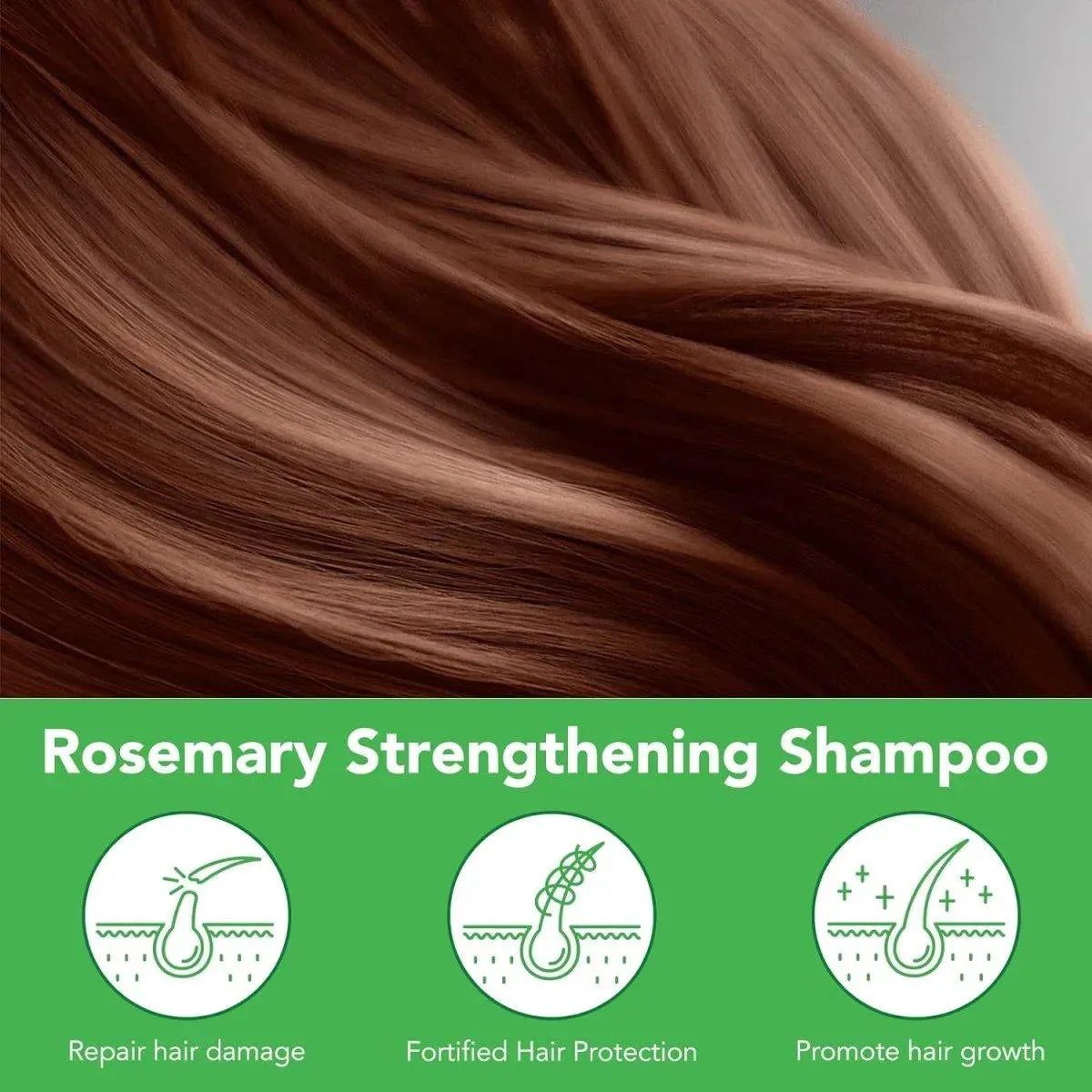 CLOXENY - CLOXENY Rosemary Shampoo for Hair Growth 300Ml. - The Red Vitamin MX - Shampoo Para Cabello - {{ shop.shopifyCountryName }}